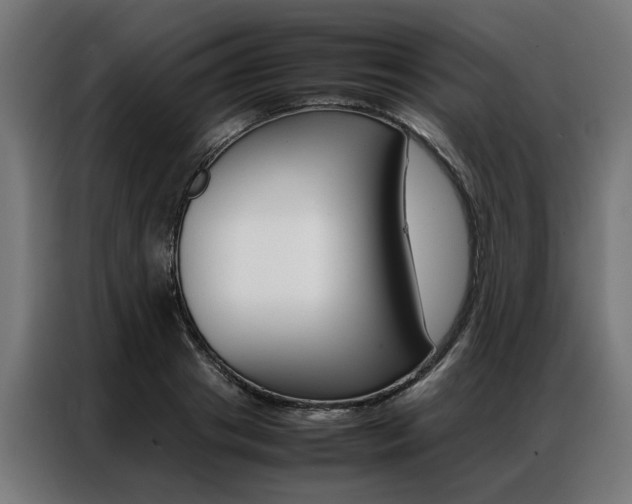 X0000086970841200704161144