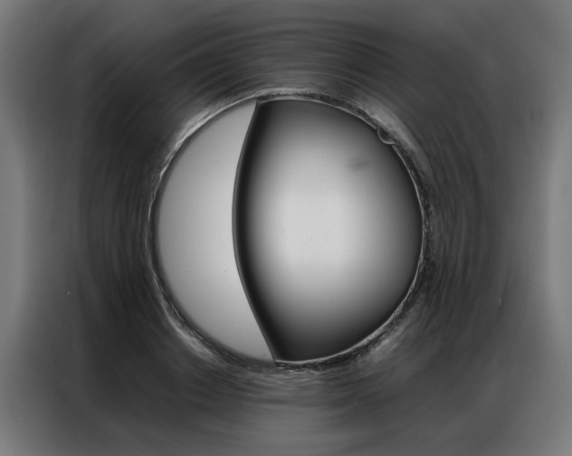 X0000086970842200704161144