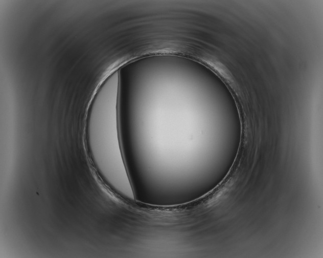 X0000086970850200704161144