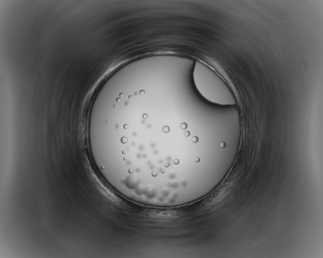 X0000086970851200704161144