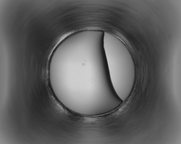 X0000086970852200704161145