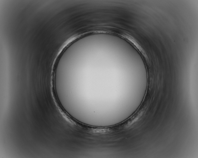 X0000086970853200704161145
