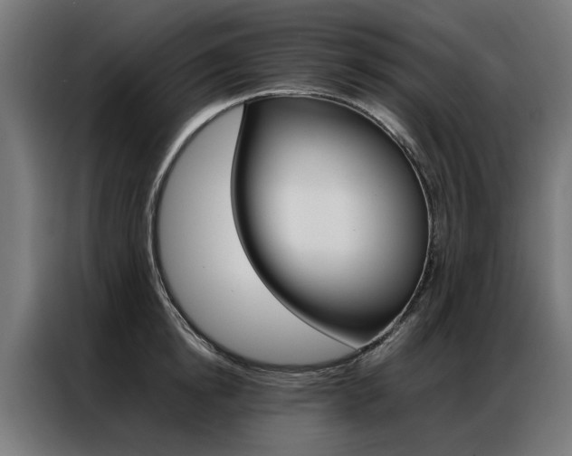 X0000086970854200704161145