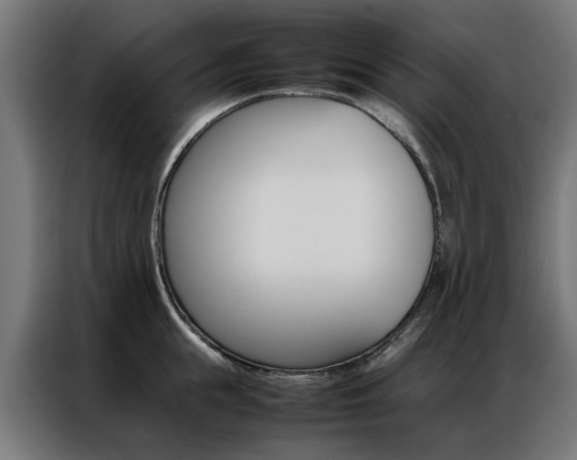 X0000086970855200704161145