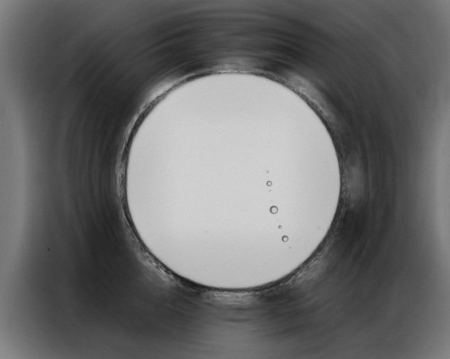 X0000086970856200704161145