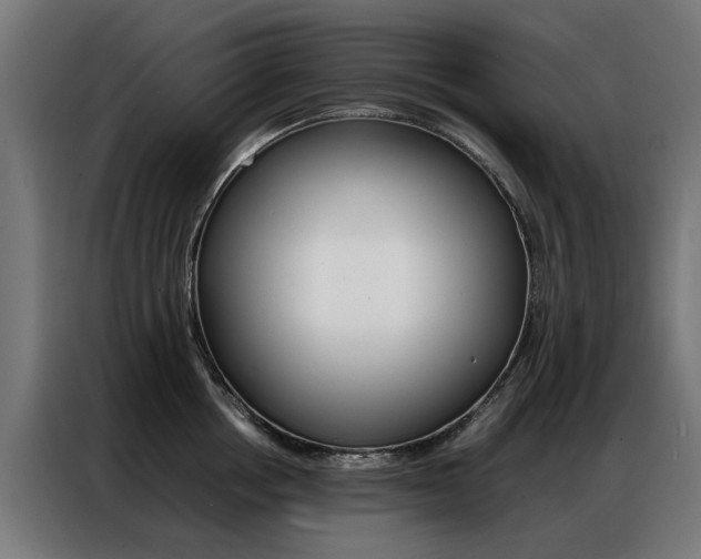 X0000086970858200704161145