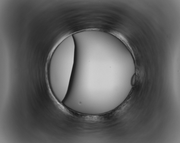 X0000086970859200704161145