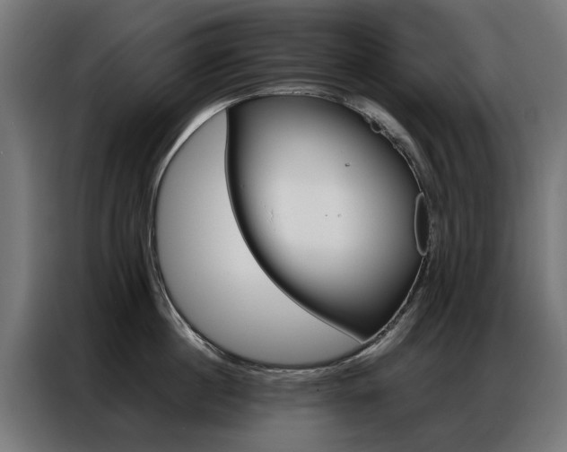X0000086970860200704161145