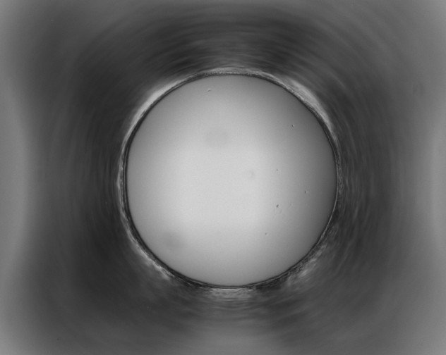 X0000086970863200704161145