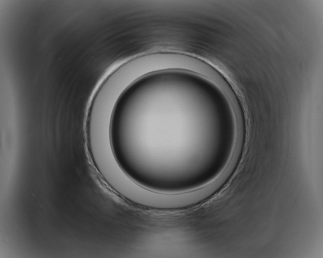 X0000086970864200704161145
