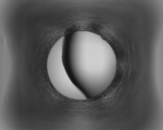 X0000086970865200704161144