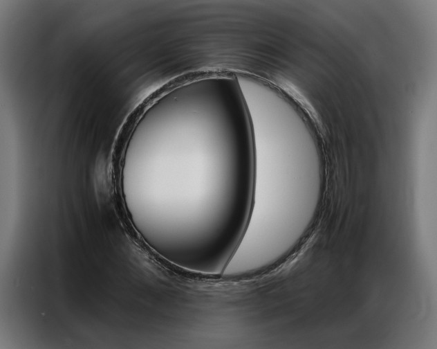 X0000086970876200704161144