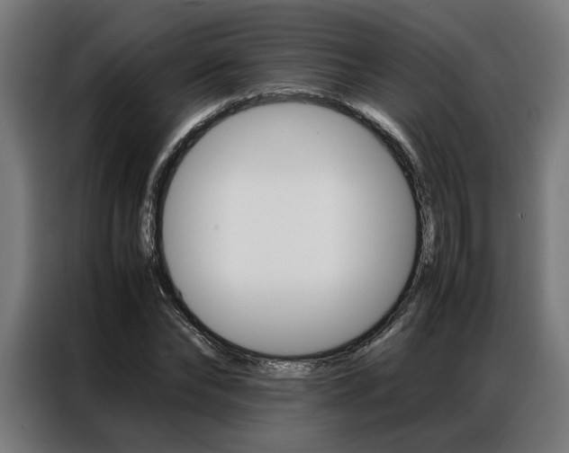 X0000086970878200704161144