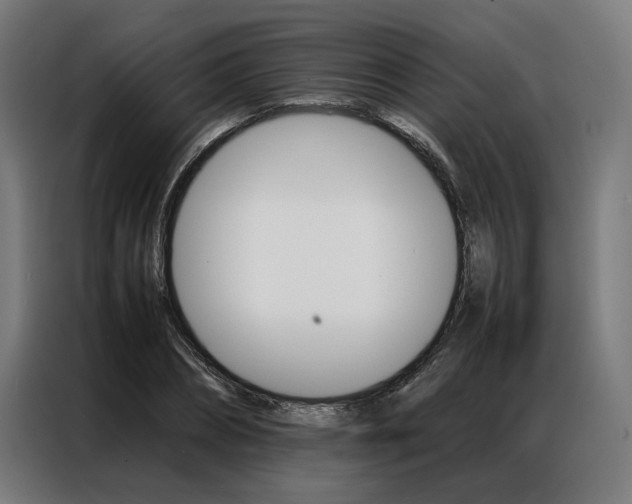 X0000086970882200704161144