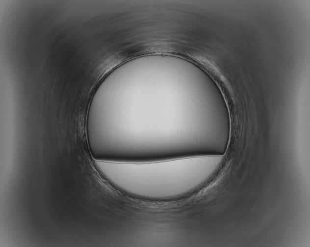 X0000086970889200704161144