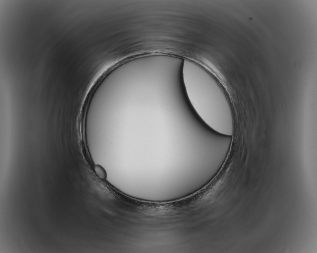 X0000086970891200704161144