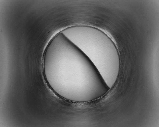 X0000086970903200704161143