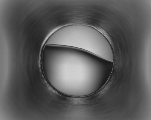 X0000086970904200704161143