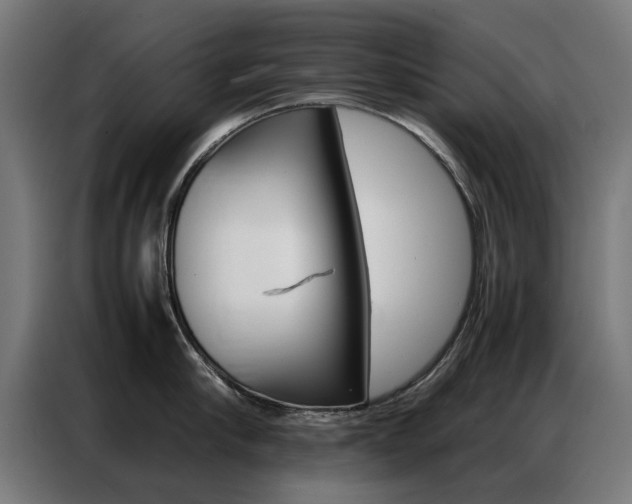 X0000086970910200704161143