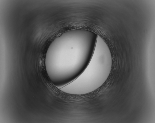 X0000086970914200704161142