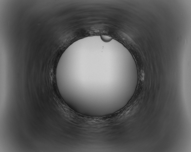 X0000086970915200704161142