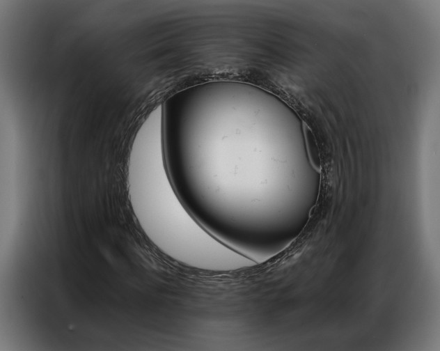 X0000086970916200704161143