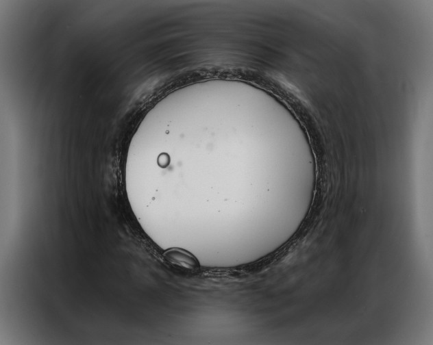 X0000086970918200704161143