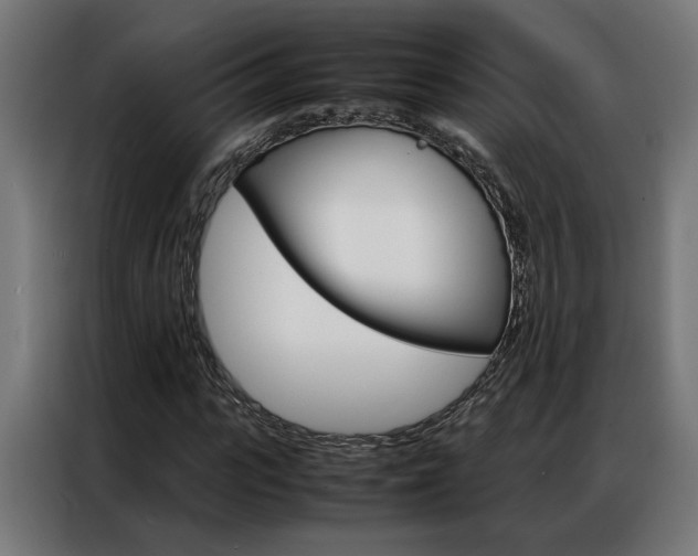 X0000086970919200704161143