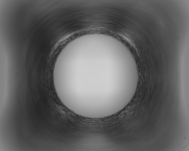 X0000086970920200704161143