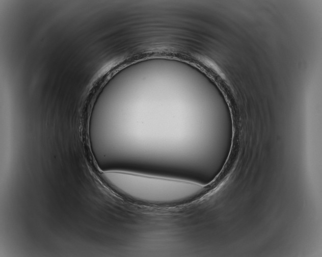 X0000086970922200704161143