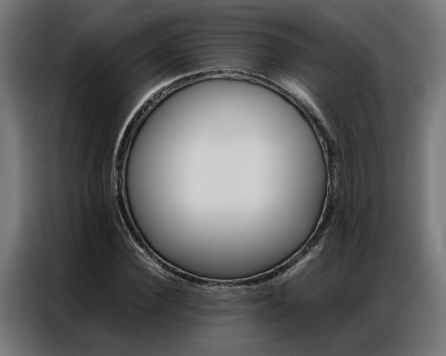 X0000086970924200704161143