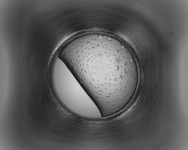 X0000086970925200704161143