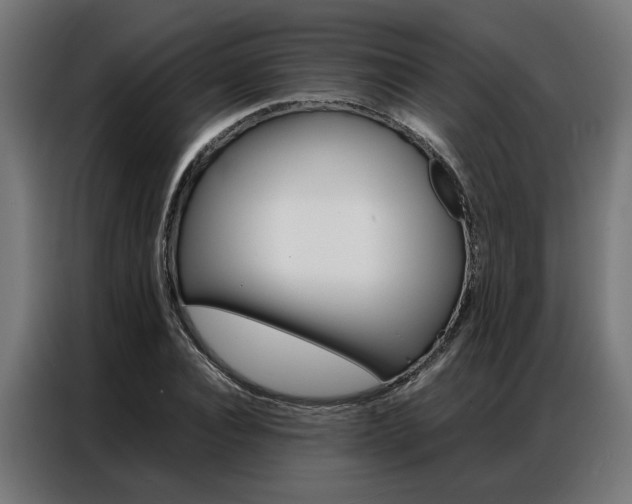 X0000086970928200704161143