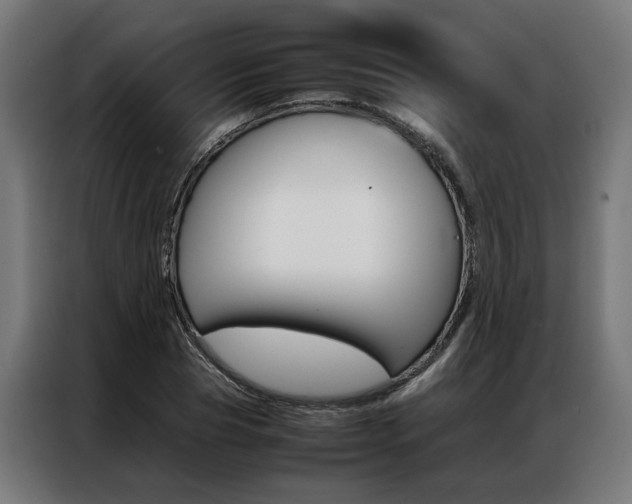 X0000086970929200704161143