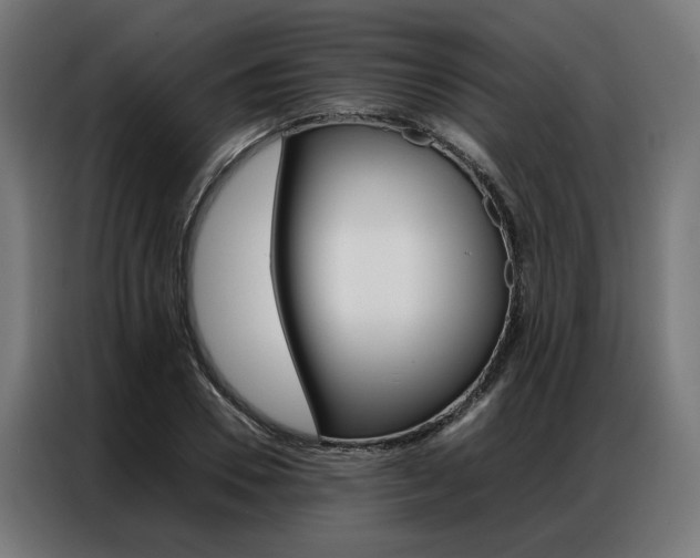 X0000086970930200704161143