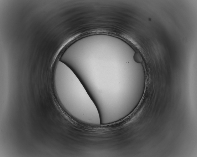 X0000086970933200704161143