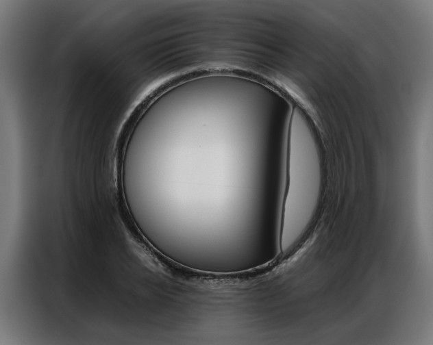 X0000086970934200704161143