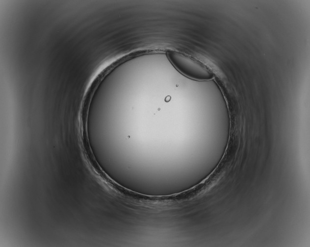 X0000086970936200704161143