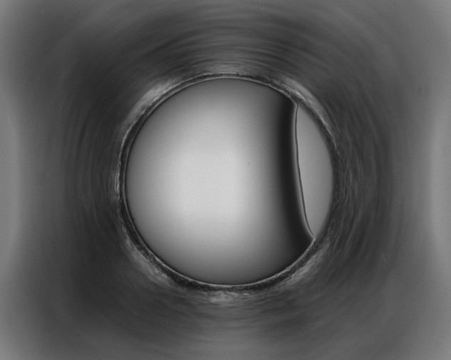 X0000086970938200704161143