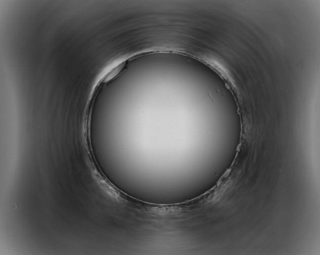 X0000086970952200704161143