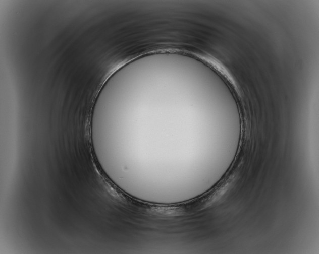 X0000086970953200704161143