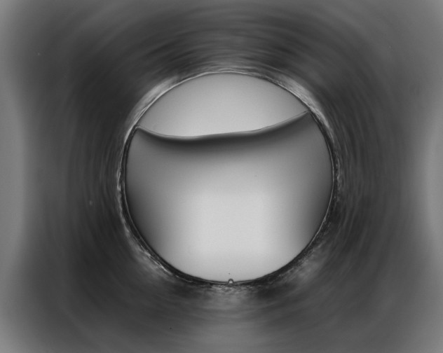 X0000086970954200704161143