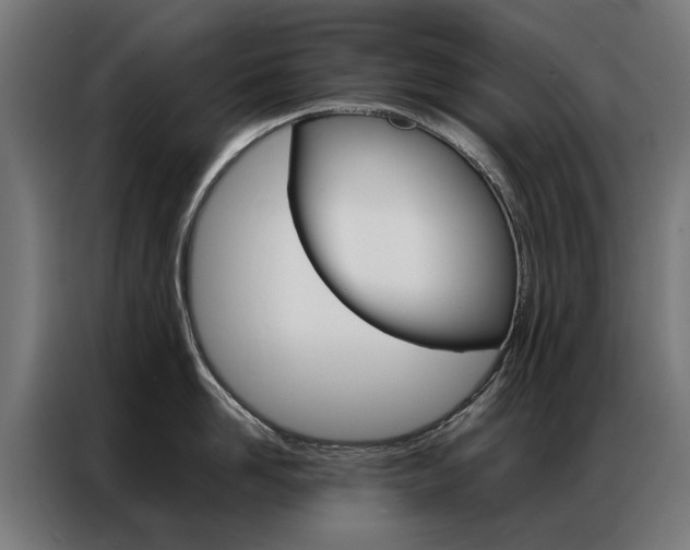 X0000086970958200704161143