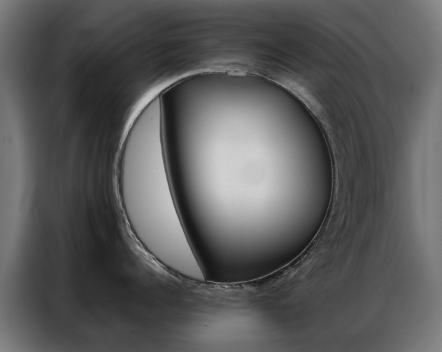 X0000086970960200704161143