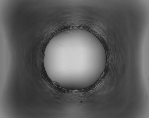 X0000086970961200704161142