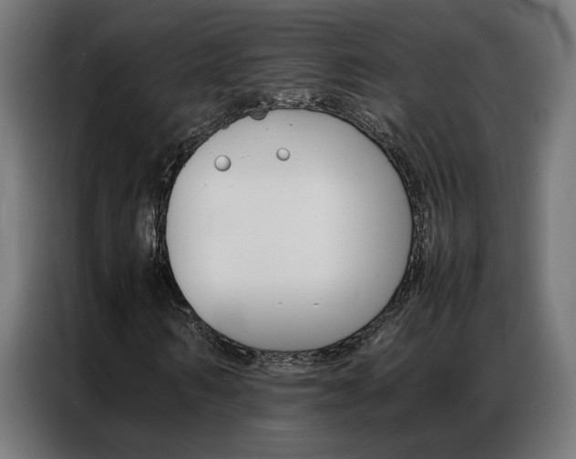 X0000086970962200704161142