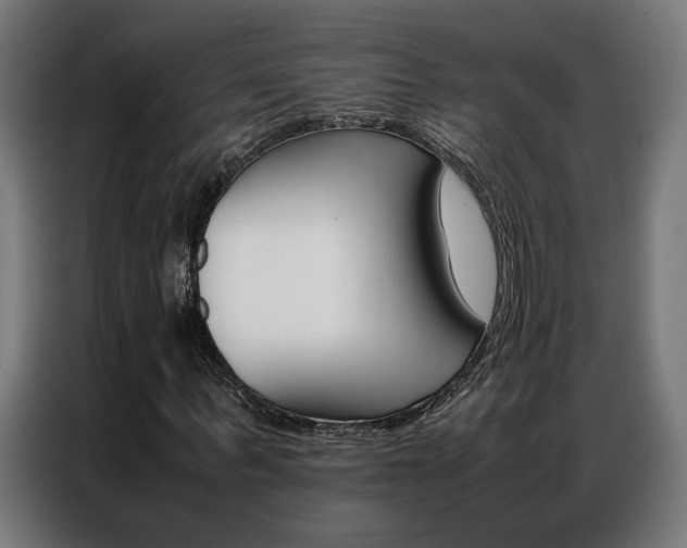 X0000086970963200704161142