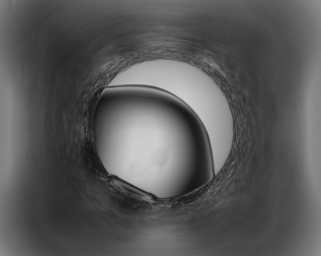 X0000086970965200704161142