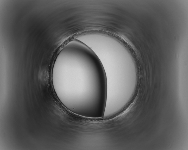 X0000086970969200704161142