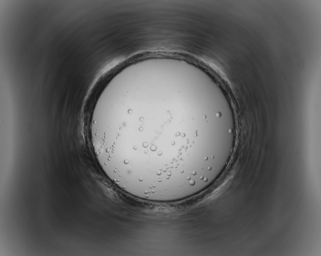 X0000086970974200704161142